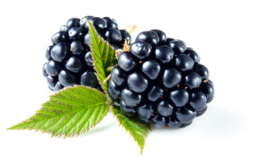 Blackberry Fruit
