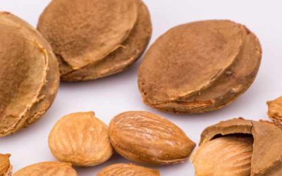 Making Stone Fruit Jams – Pit Tips