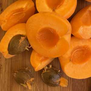 Whole, half and quarter fresh apricots with pits